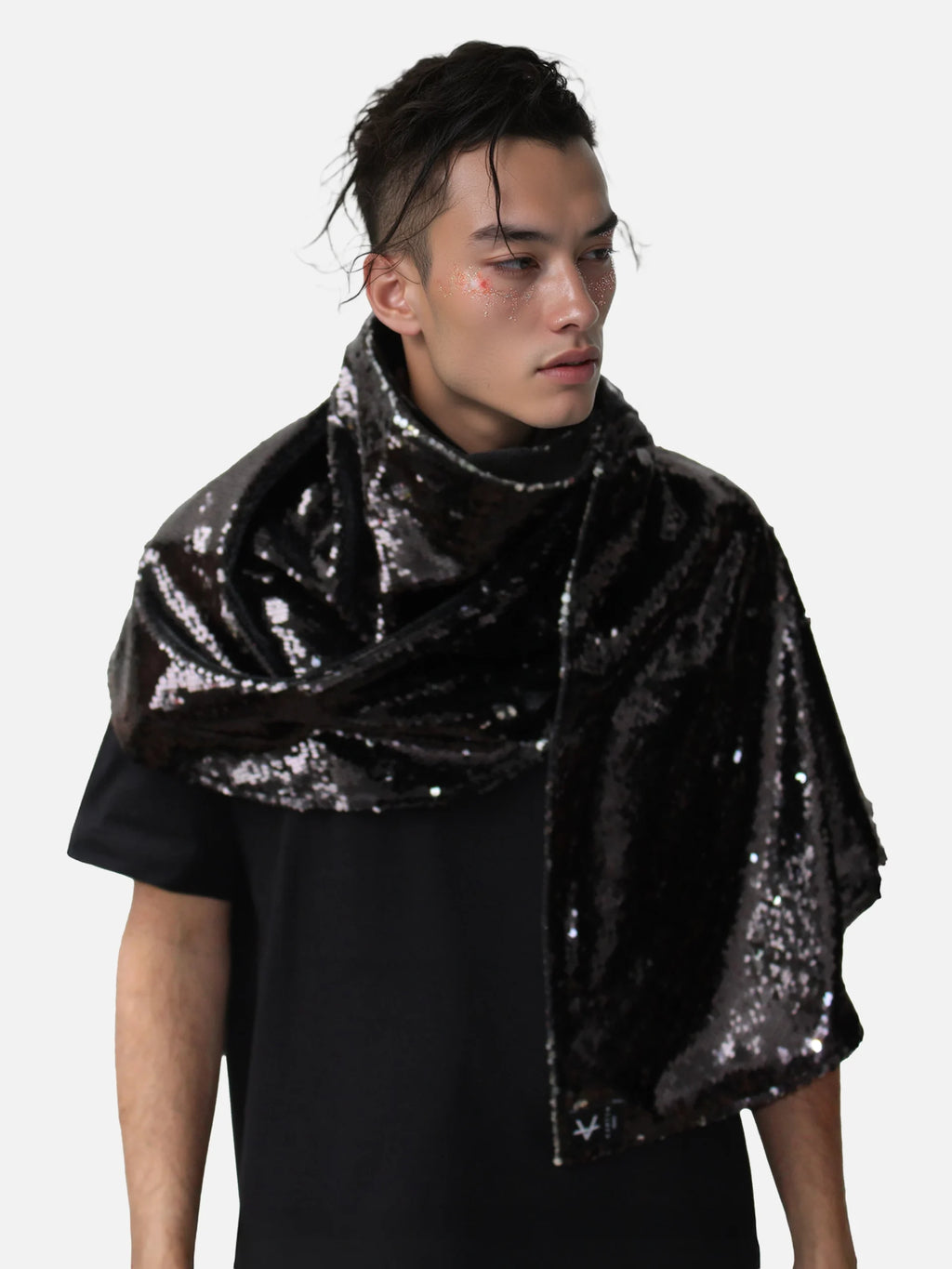 Fudo Knight - Shiny Black / Silver-1