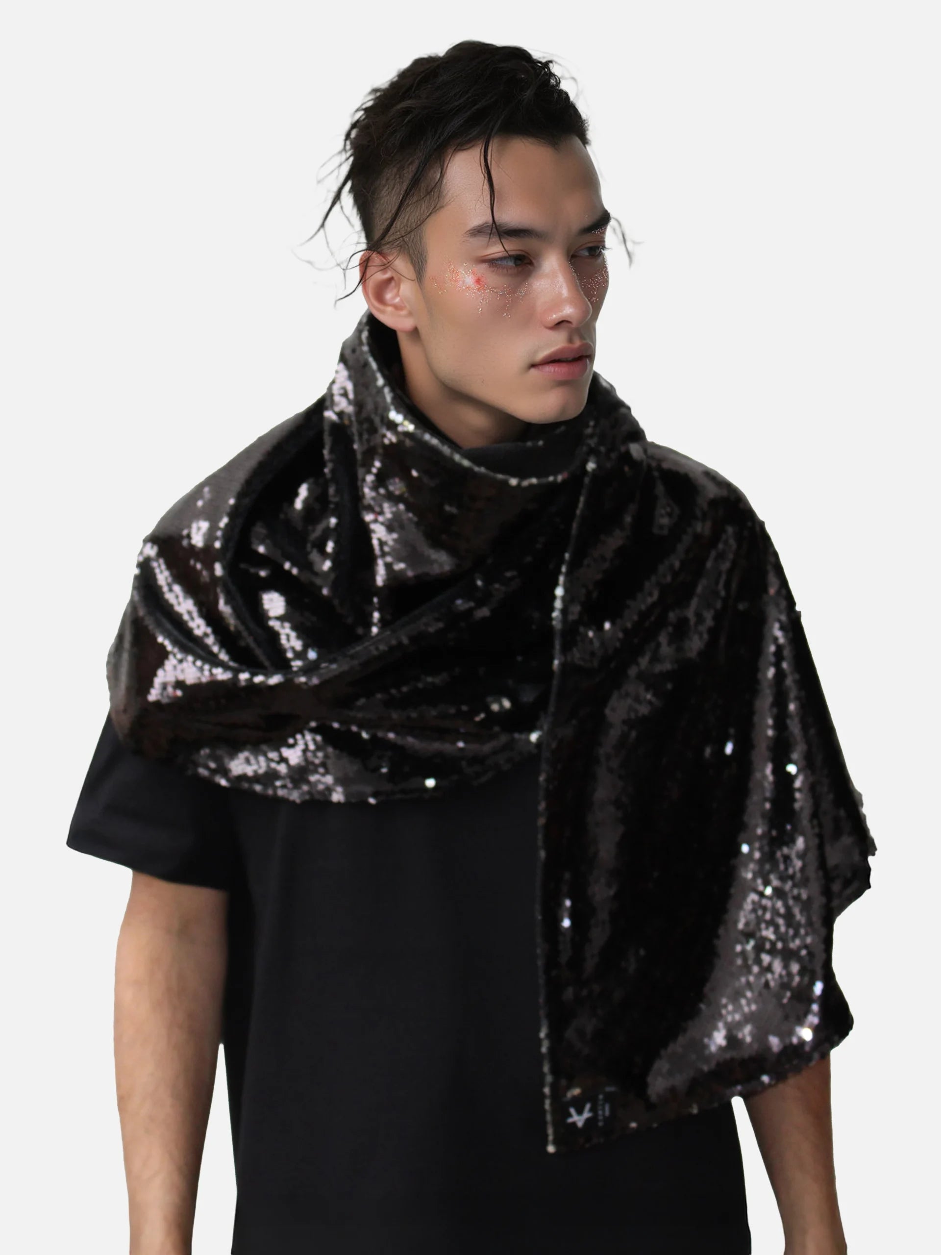 Fudo Knight - Shiny Black / Silver-1